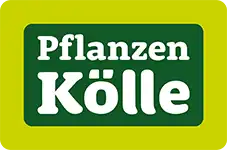 Logo - Pflanzen Kölle